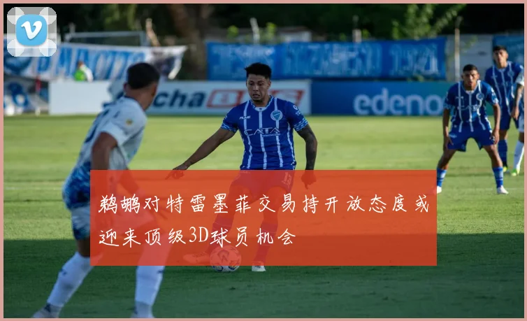 鹈鹕对特雷墨菲交易持开放态度或迎来顶级3D球员机会